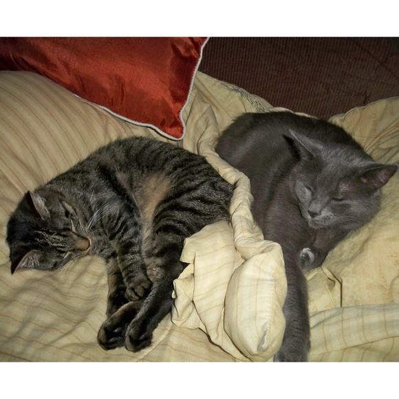 Meet You Posher, Irina - Picture 6 of 6